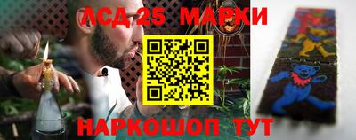 индика Кандалакша