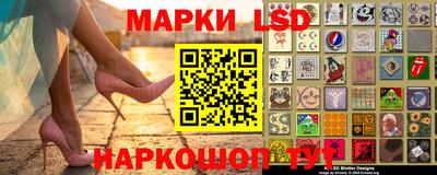 индика Кандалакша