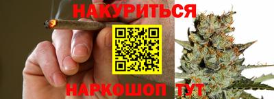 индика Кандалакша