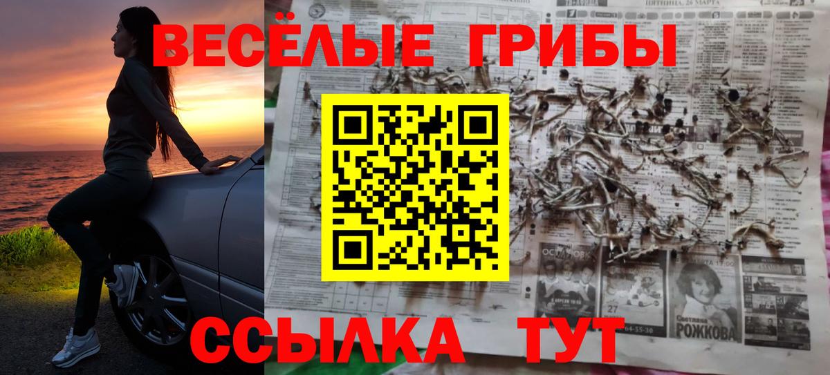купить  сайты  Псилоцибиновые грибы MAGIC MUSHROOMS  Вход с VPN  Галлюциногенные грибы Psilocybe  Жуковский 