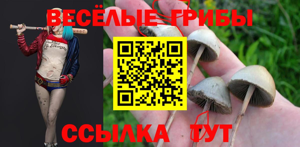 Галлюциногенные грибы Cubensis Жуковский